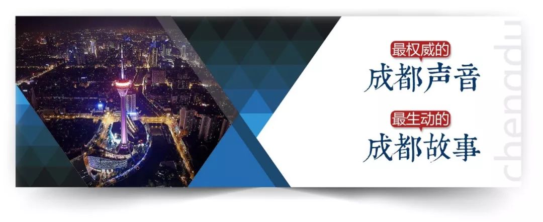 成都锦江边最漂亮的银杏,成都银杏美图