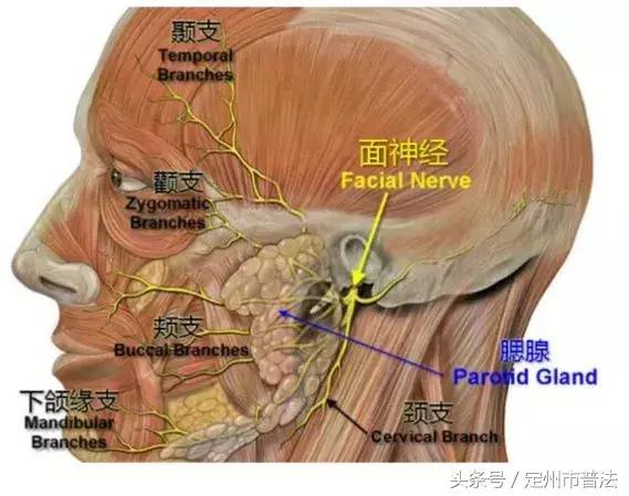 暑假天天熬夜打游戏,通宵打游戏的后果搞笑