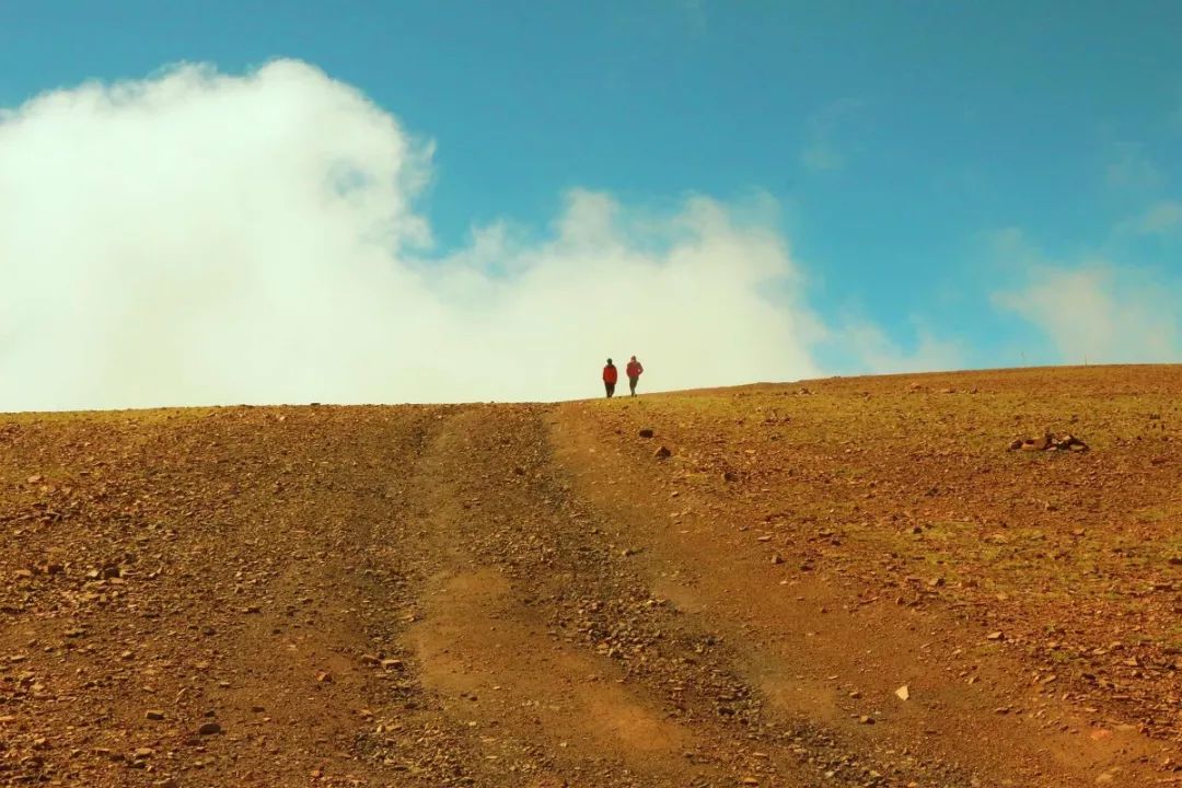 第一次去西藏需要走青藏线吗,第一次去西藏选环线还是阿里
