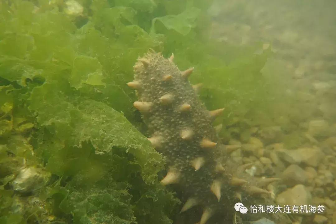 来自一个赌徒的自白,来自一个财税人的自白