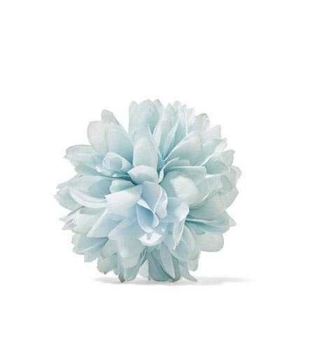 情人节,我可以别朵花在身上