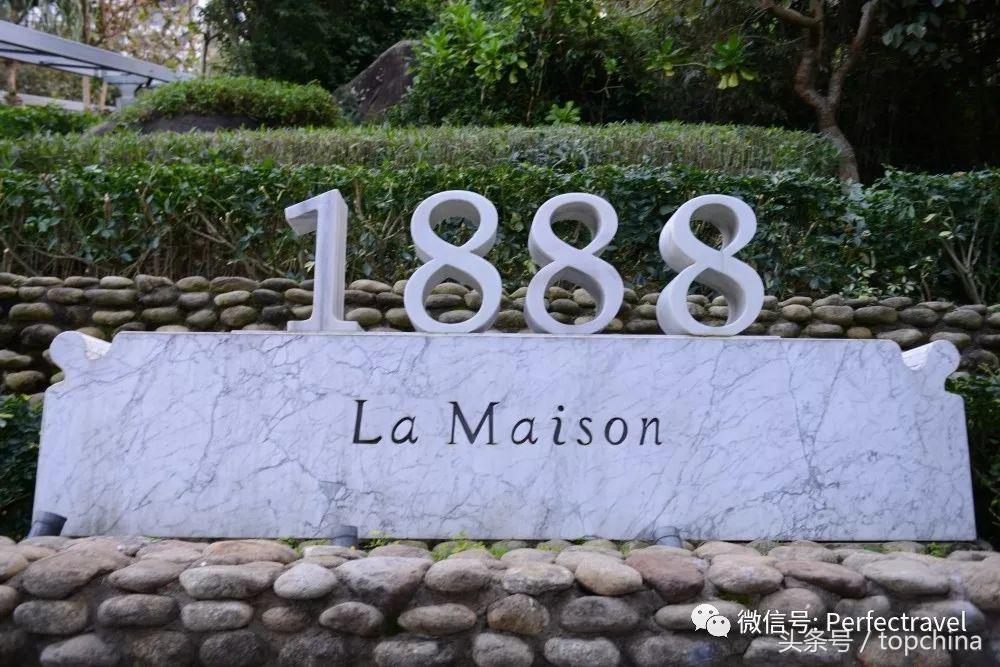 米其林厨神下饭,厨神的美味