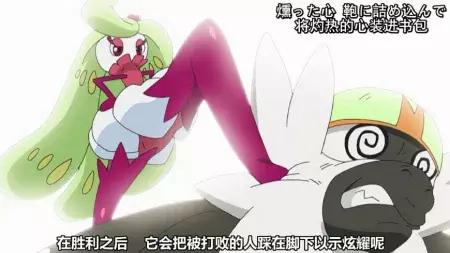 小智的木木枭最终进化了,小智的木木枭最后进化了吗