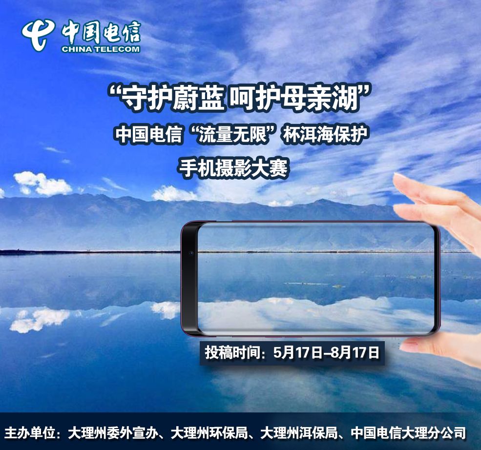 「周末去哪玩」上山捡菌乐无穷美味山珍饱口福