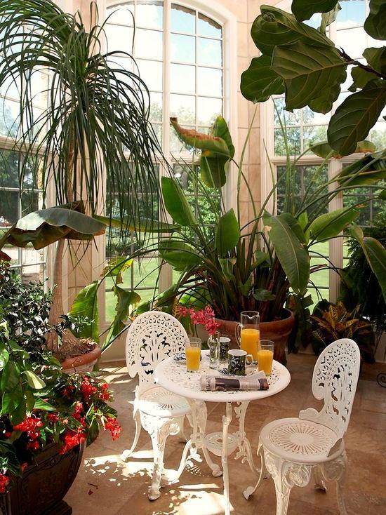 阳光房绿植装修效果图,阳光房怎么布置好看图片欣赏