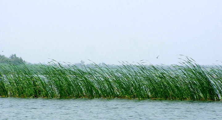 乡村脱贫大学生创业比赛,大学生创新创业大赛助力脱贫