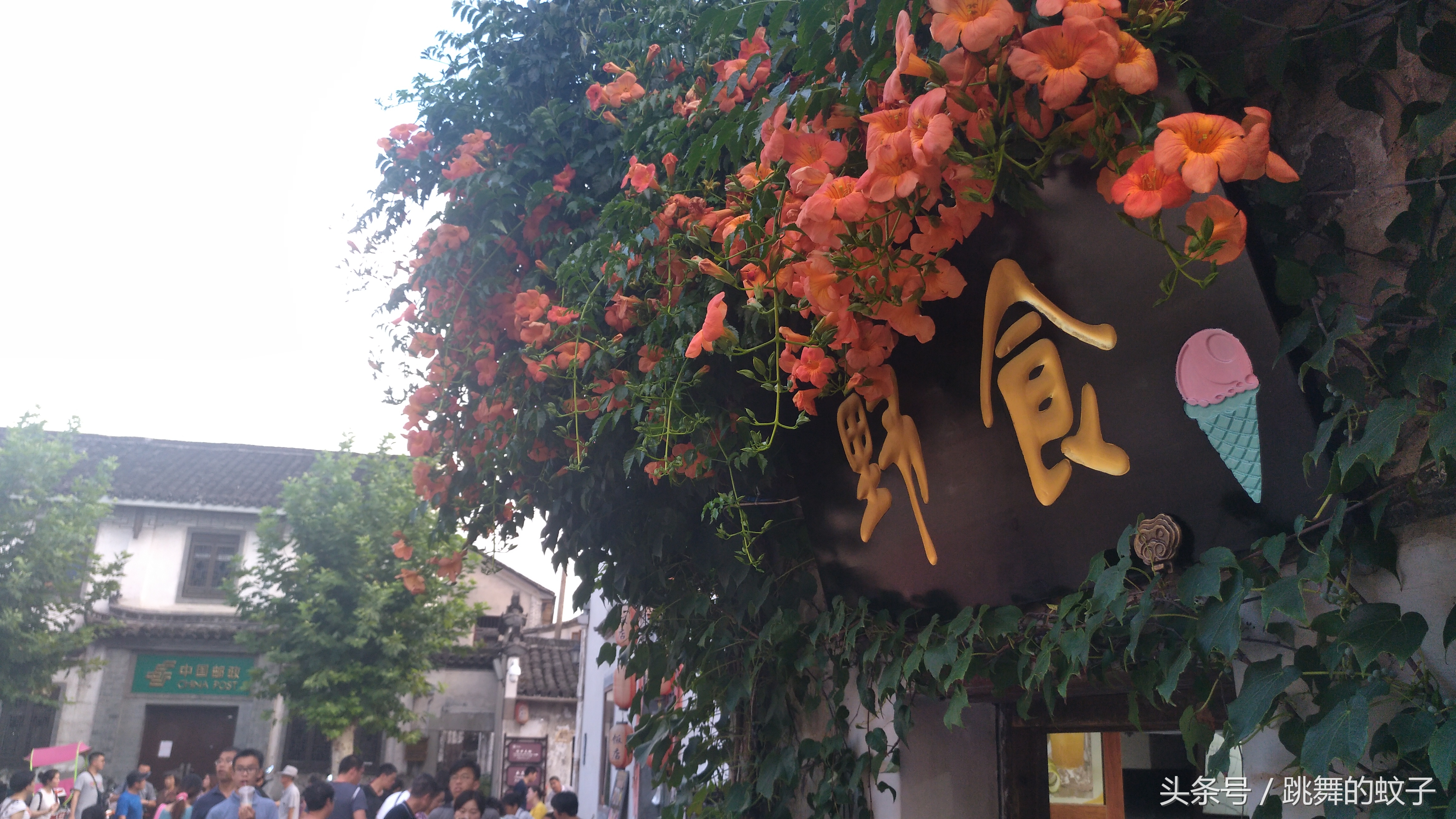 宏村景区内便宜住宿酒店推荐,安徽黟县宏村住宿是多少钱一晚的