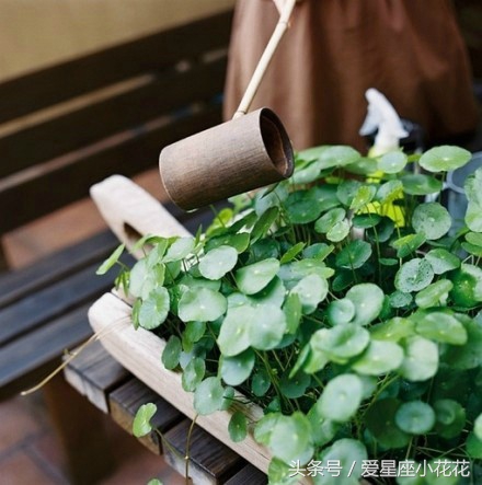 8月12日12星座总体运势预报,月运势