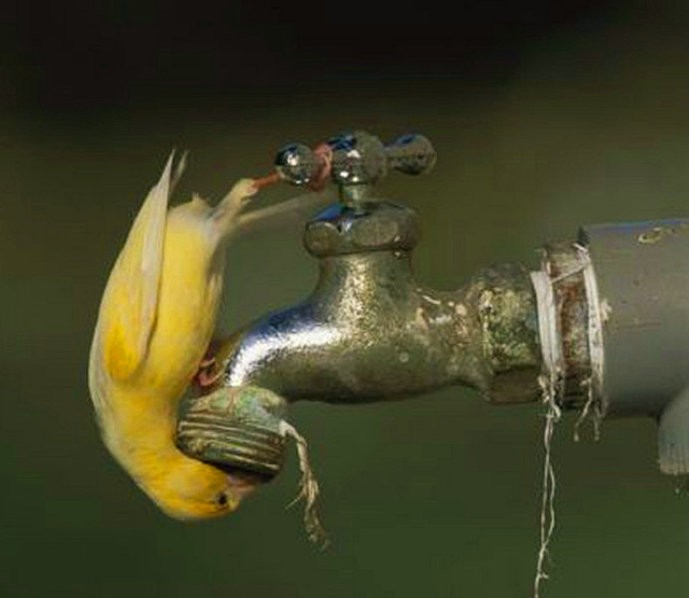 精油为什么大多数是三无产品,揭露精油内幕