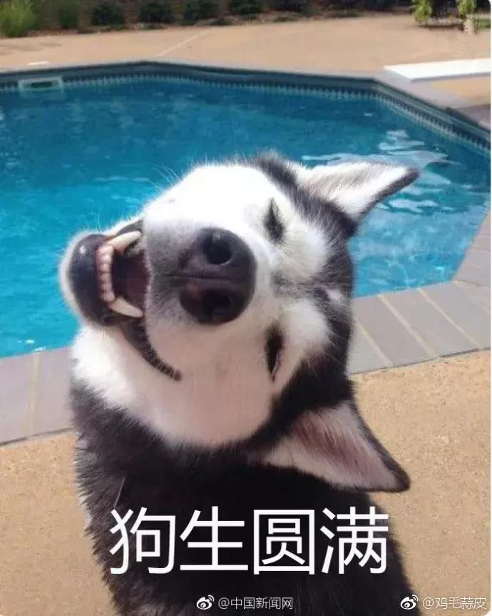 纳粹集中营1945,1945年德国集中营