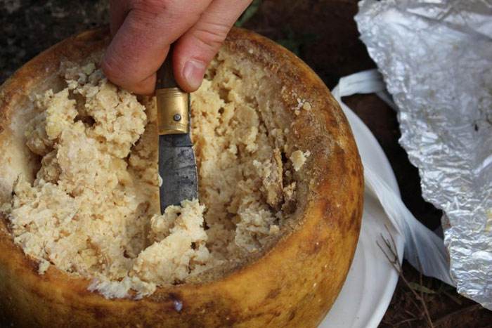 活蛆奶酪！隐藏在黑暗料理背后的佳肴