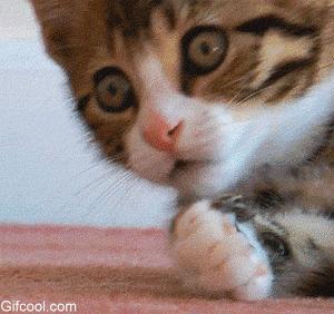 好用旅行化妆包推荐,出门旅行必备化妆包