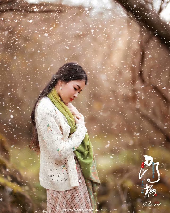 经典散文梦里花落知多少,花落知多少的情感句子摘抄