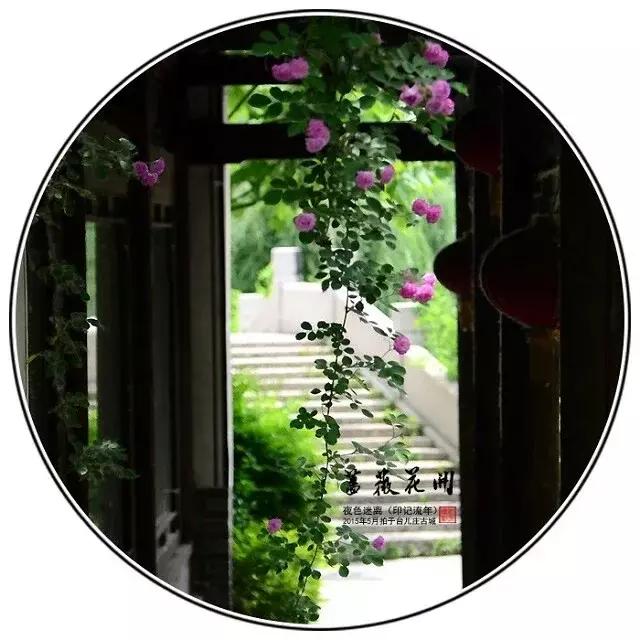 前缘如梦听书全集,前缘如梦小说全名