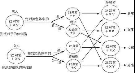 女婴体内被插16根钢针后续,女婴体内被插12根钢针