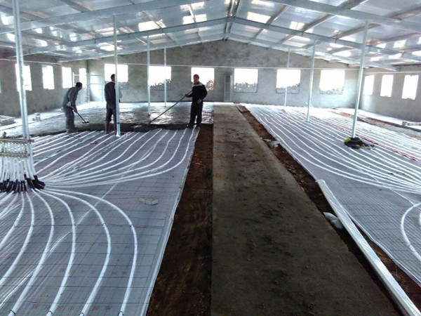 冬天大猪小猪怕冷怎么办,小猪低温的原因和解决方法