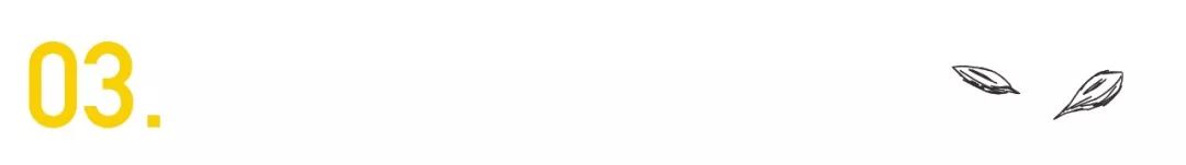 许巍高晓松的故事,高晓松谈许巍的故事