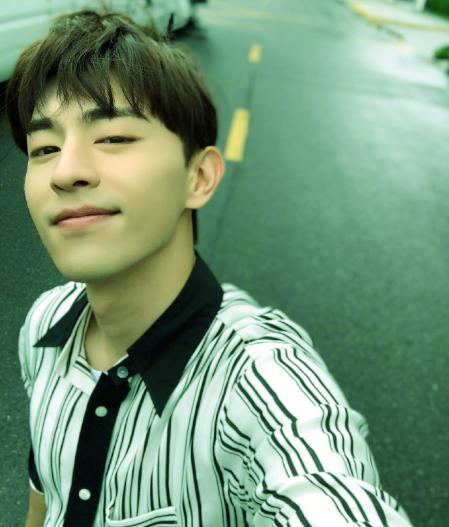 娱乐圈最火的明星2019,今年最火的明星有哪几个人