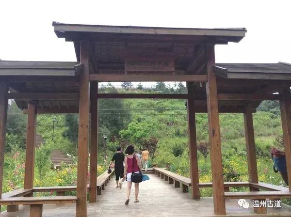 鹿西岛景区图,鹿西岛旅游攻略礁石拍照