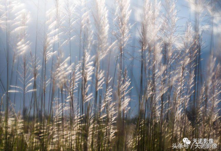 传奇归来详细介绍,传奇归来意大利