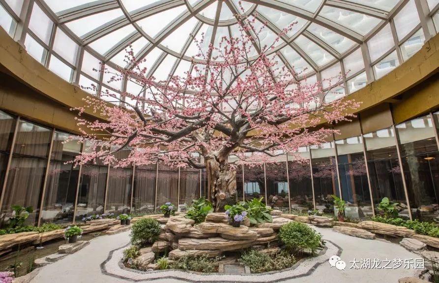 湖州全国连锁7天酒店,湖州最大酒店最新消息