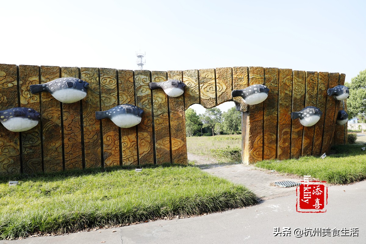 镇江美食三怪,镇江美食推荐锅盖面