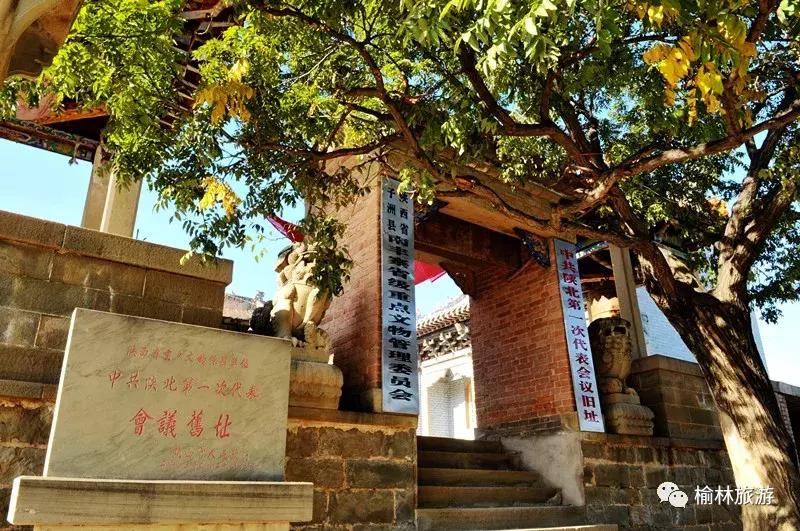 走遍榆林寻古树、品农味、游乡村，感受最清爽的一抹绿之子洲篇