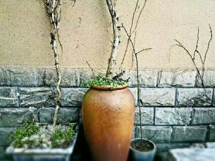 怎样打造爆款民宿,民宿怎么打造网红