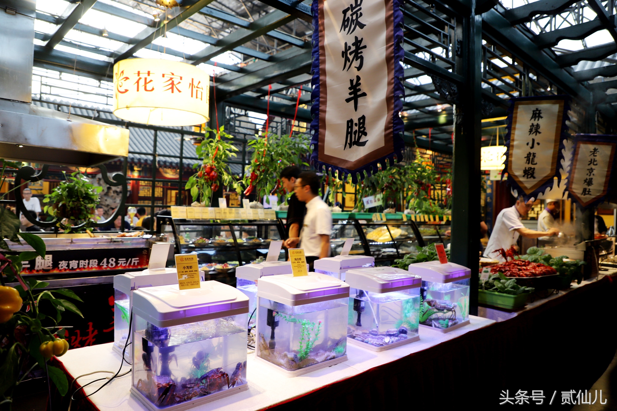 北京花家怡园四合院总店电话,四合院花家怡园