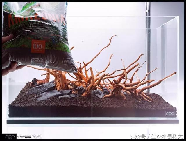 ada草缸造景什么意思,ada造景大赛60缸