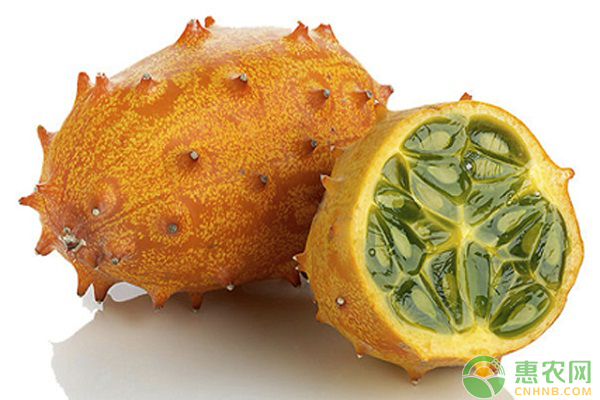 这种从非洲引进的洋果,虽说全身带刺,但却是减肥美容的佳品