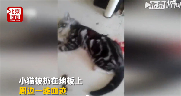 男子*杀虐**女友小猫逼其复合当晚被人肉遭打至骨折