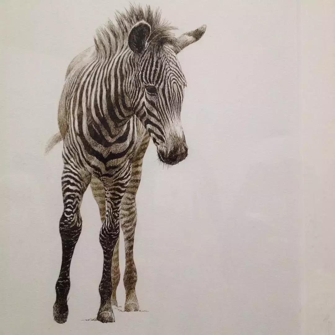 贺峻霖被老师称为抓细节狂魔,贺峻霖为什么被叫扒细节狂魔