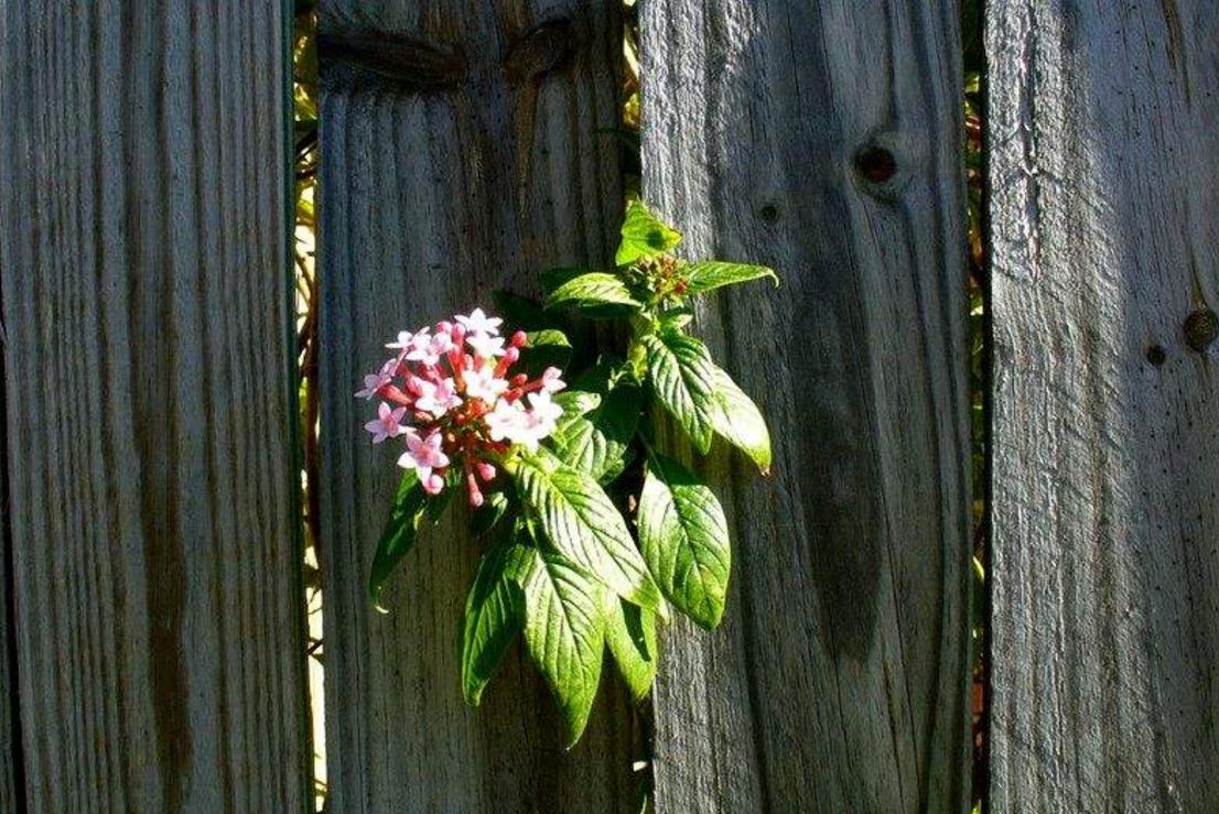 命苦的人要怎么做,走出心灵的低谷感悟
