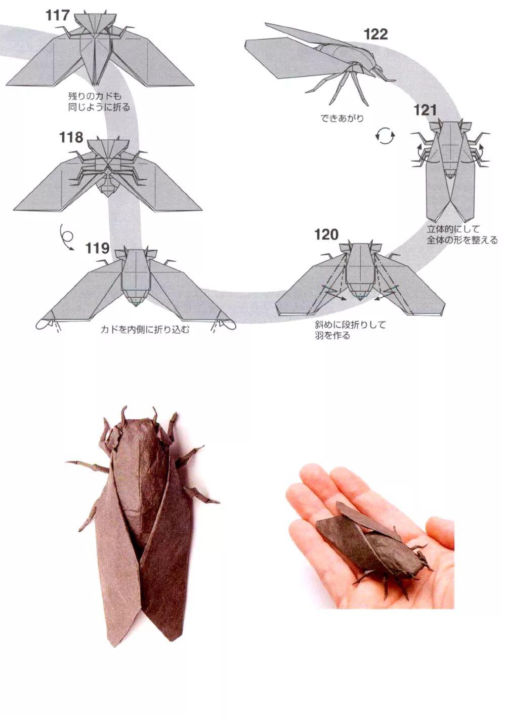 求解……难道日语里蝉的叫声是“咩咩咩”？