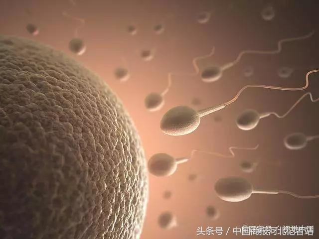 “精子”进入女性身体却没“受精”，去哪里呢？看完可能就清楚了