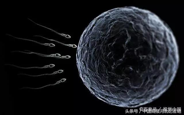 “精子”进入女性身体却没“受精”，去哪里呢？看完可能就清楚了