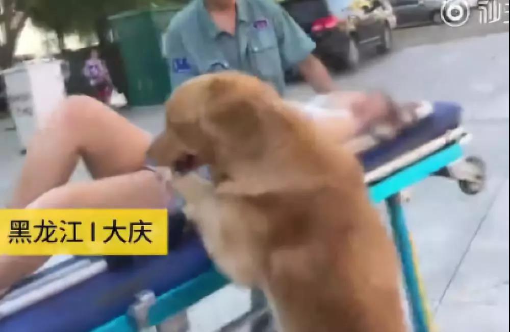 三分钟法律故事,三分钟法治新闻公众号