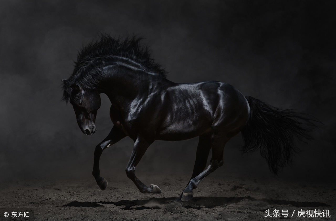 一个袜子内衣店凭什么成为新零售大黑马？