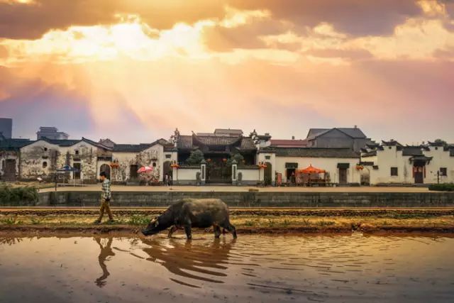金庸笔下最美的十大旅游景点,金庸笔下的绝美风景