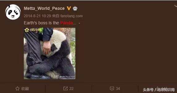 美帝再牛逼，遇见熊猫也得吸？地球知识局