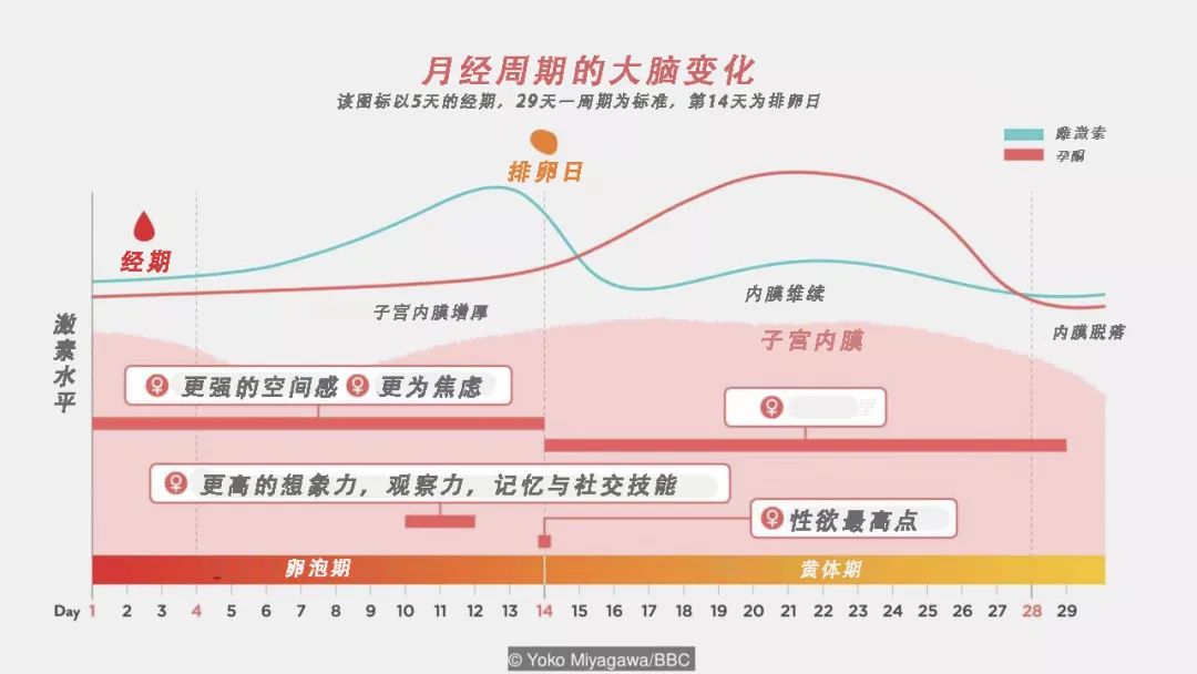 月经会改变日期吗,月经和大脑有没有关联