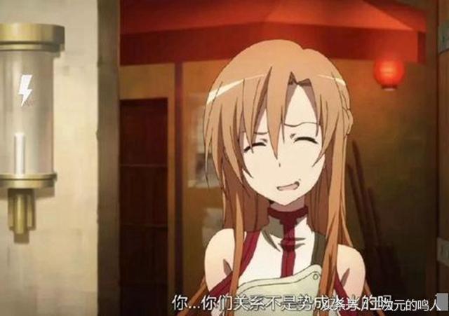 刀剑神域亚丝娜唯美图片图文,刀剑神域亚丝娜正脸照