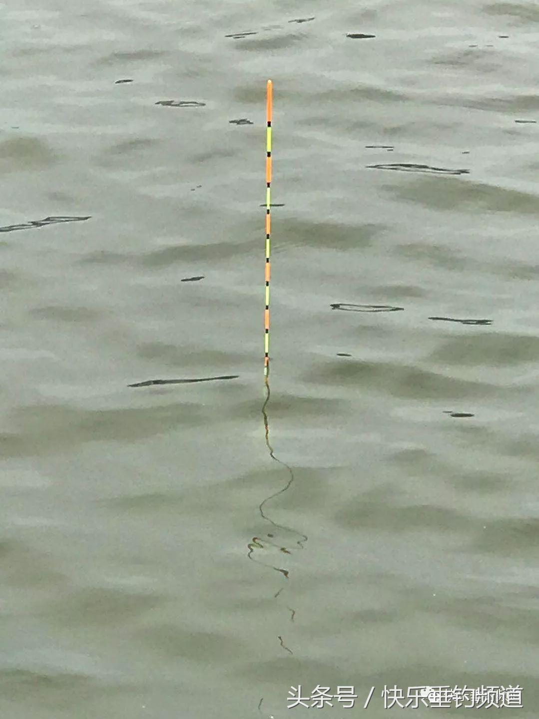 河蟹闹窝怎么钓鱼最好,河蟹闹窝怎么办