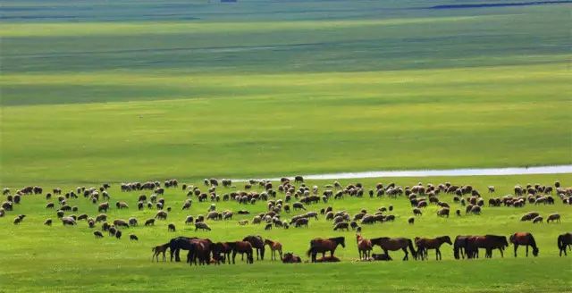 世界四大草原哪里好玩,世界四大草原呼伦贝尔大草原