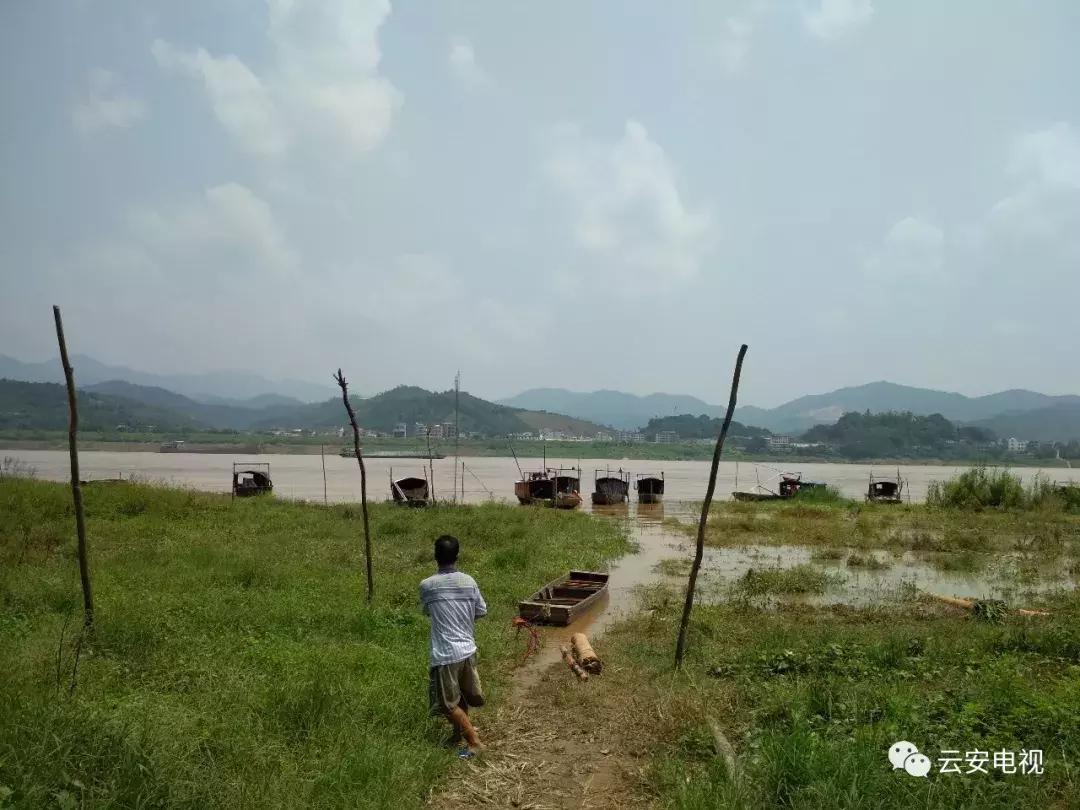 佛山南海九江的渔民在西江捕鱼,梧州西江渔民捕鱼