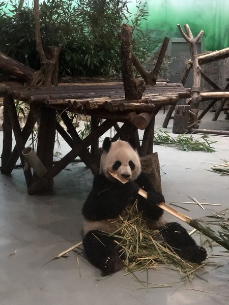 前往泸沽湖自驾游,往泸沽湖出发