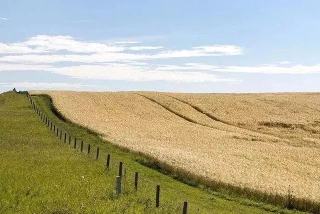 新的土地使用证是什么样的,新的土地证和房产证什么样