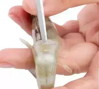 快速去除虾线的小妙招,虾肚子下面的那条虾线怎样去除