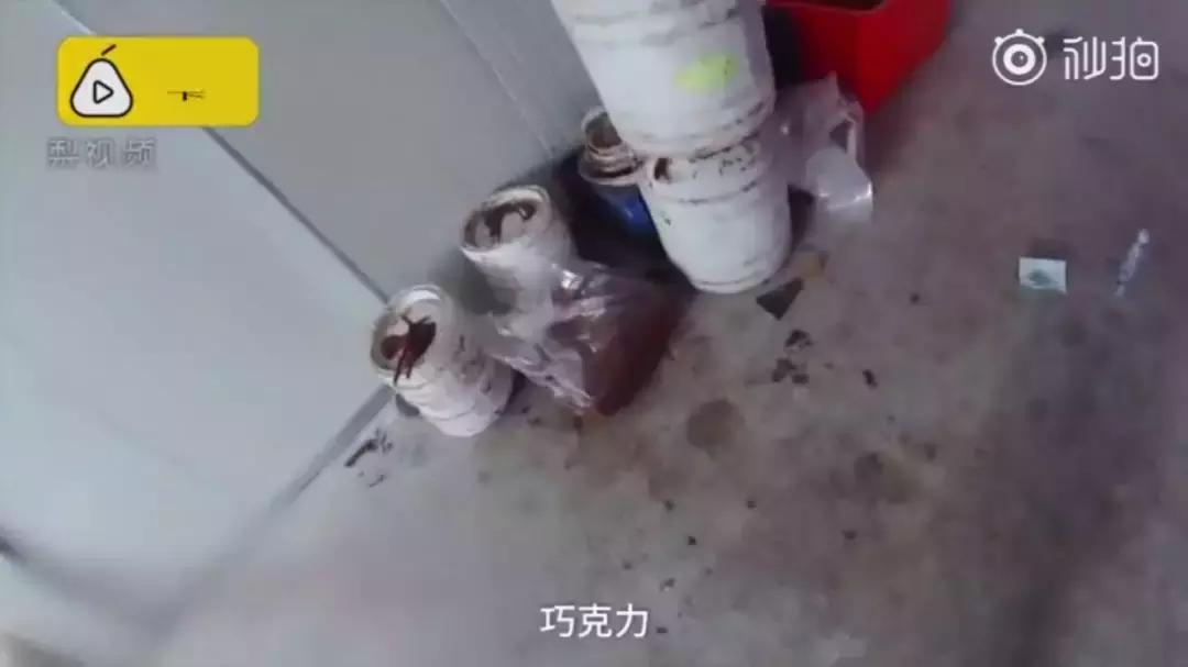 怎么辨别真假德芙巧克力,德芙巧克力怎么辨别真假